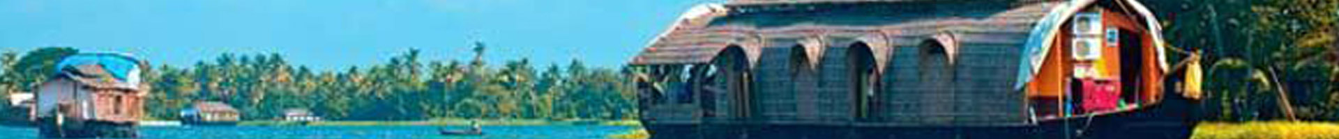 banner-top