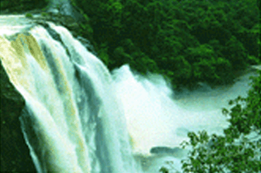 Athirapally/ Vazhachal