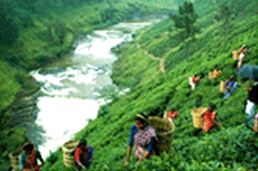 Munnar