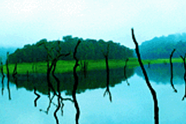 thekkady